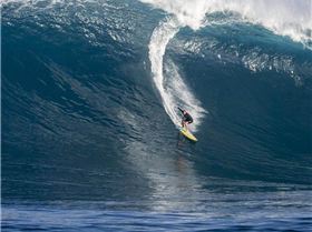 12645117 10207158999027611 2045516834232519727 n