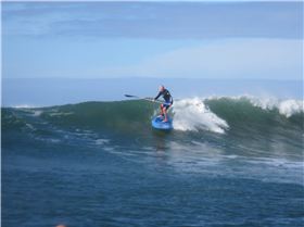 Mick Mc yesterday on the Potato Chip