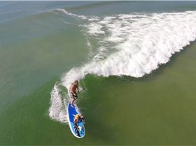 11537830 907233419319601 2115633673120870031 o