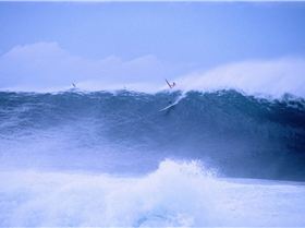 12615503 10154026799399359 7283160793088603995 o