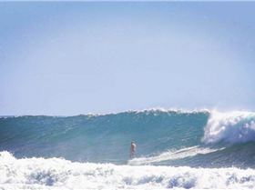 12419116 10153776070600189 1503280072669958798 o