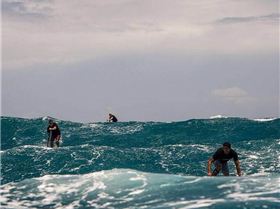 12799276 1046892015353200 4816475997374983377 n