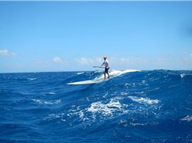 12829405 1115438358521383 1001164482706491520 o