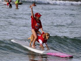 10679623 1162801620421190 4756996746708479102 o