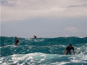 12791021 1579736372351388 5979797892757836513 n