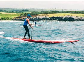 12828265 1341438695882498 5643406727223965439 o