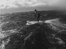 12313644 972010899530726 5377144772015586626 n