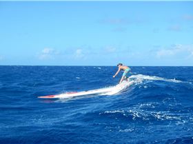 981250 1074910495907503 1889121545524701230 o