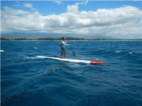 11794165 992503620814858 5902274039203750212 o