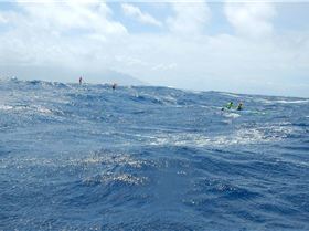 elevation%20in%20the%20Pailolo