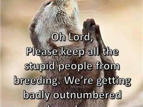 10176233 572128412903544 913743058809486966 n