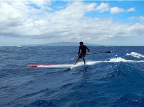 12977251 1143483029050249 755990632777809930 o