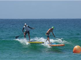 Stand Up Paddle