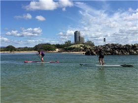 13006459 261136817553406 296628989783011199 n