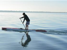 Stand Up Paddle