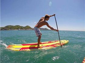 13177709 10154238451859312 4283755426771978313 n