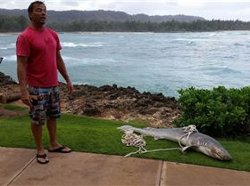 received 1775542256036470