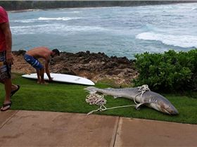 received 1775542309369798