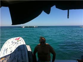 lancefam1-seal island 138(3)