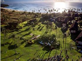 13894982 1032768926772217 5841465070309729277 n