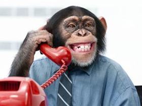 monkey-customer-service
