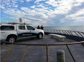 14102595 1455534877794191 4529037134343609377 n