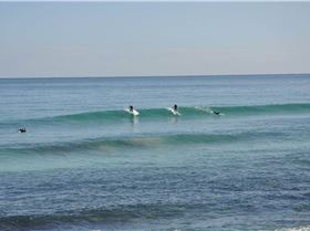 14124529 1455689997778679 453826138282651312 o