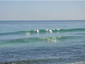 14102857 1455691461111866 866368310998577932 o