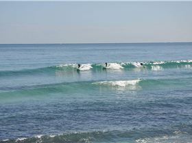 14068618 1455691964445149 859638443656771277 o