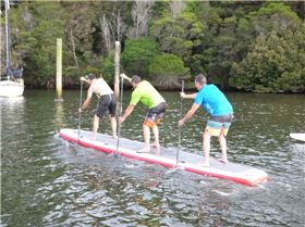 The Red Dragon in action