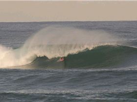 TC longy Bomby 3 copy