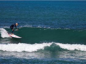 Fanatic Pro Wave 9'2 2017