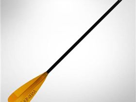 Werner Session Paddle-03