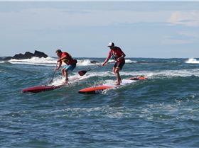 Stand Up Paddle