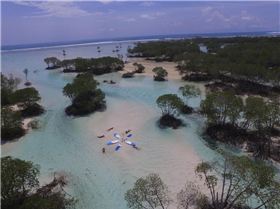 2017 Blue Planet Stand Up Paddle boards1000