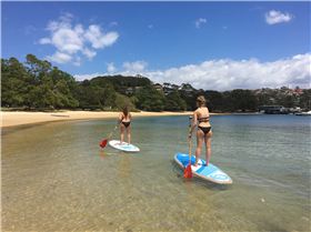 Stand Up Paddle