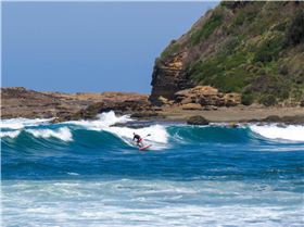 15195855 10154788202003804 2892793963468570714 o