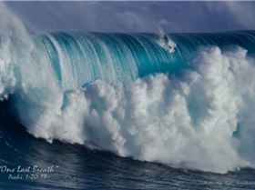 548750 10150986819028057 2111290402 n (1)