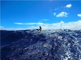 15193606 10154861539964940 2049928047051854861 n