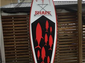 Shark mako 9"8