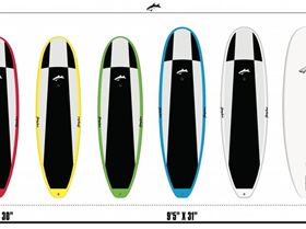 striker 1 photo 1-1024x617