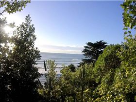 15403750 10154863637429312 2725207385688107099 o