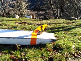 15304289 405528649778360 2200471015751155186 o