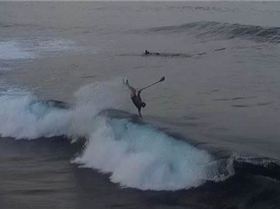 received 10212586212509225