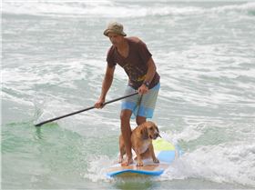 Stand Up Paddle