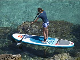 1PJS1Ax9sUgNC0PpK0JdBBtaDW0JE3ynwg