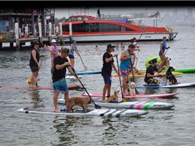 16326248 10210478211844649 2137969604 o