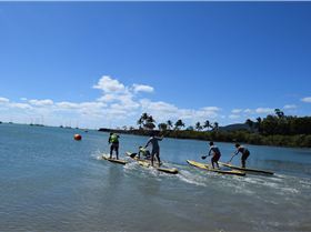 Come try or Race your heart out