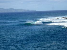 16487734 1801219683536388 4169119764065041931 o