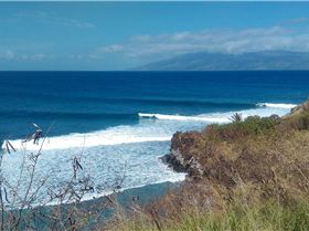 16601650 1800930580231965 4669021835485729279 o